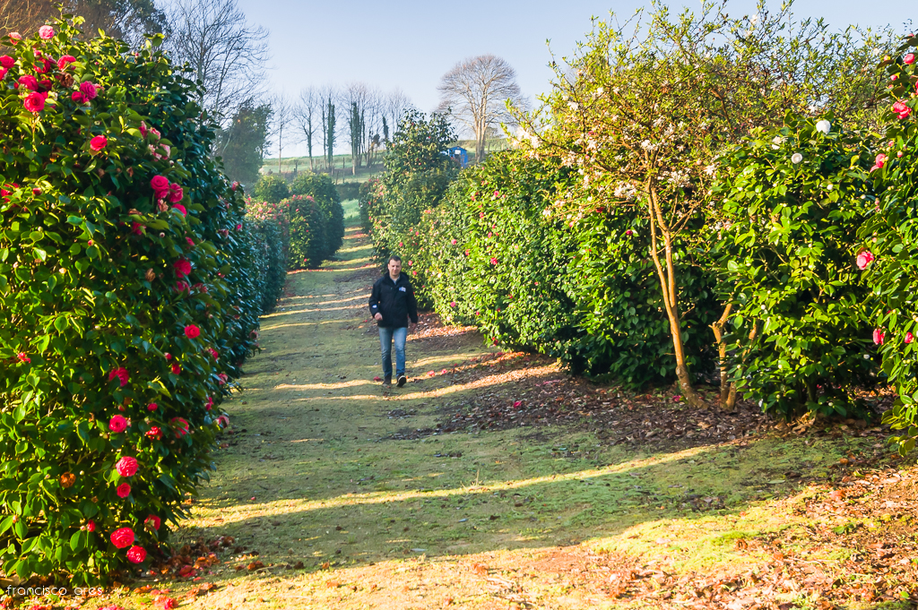 La Plantaci&oacute;n