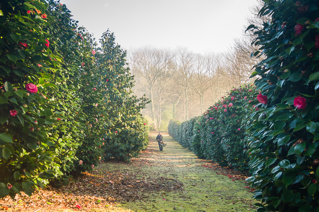 La Plantaci&oacute;n